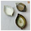 VIETNAM HANDICRAFT CERAMIC LEAF SAUCE PLATE 041 9 VIETNAM HANDICRAFT CERAMIC LEAF SAUCE PLATE 041 - Ảnh 5